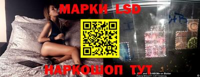 a pvp Аргун
