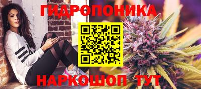 a pvp Аргун
