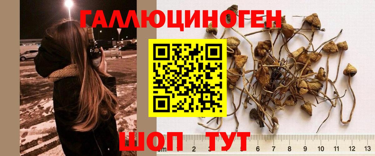 Воскресенск  Псилоцибиновые грибы ЛСД  Вход с VPN 